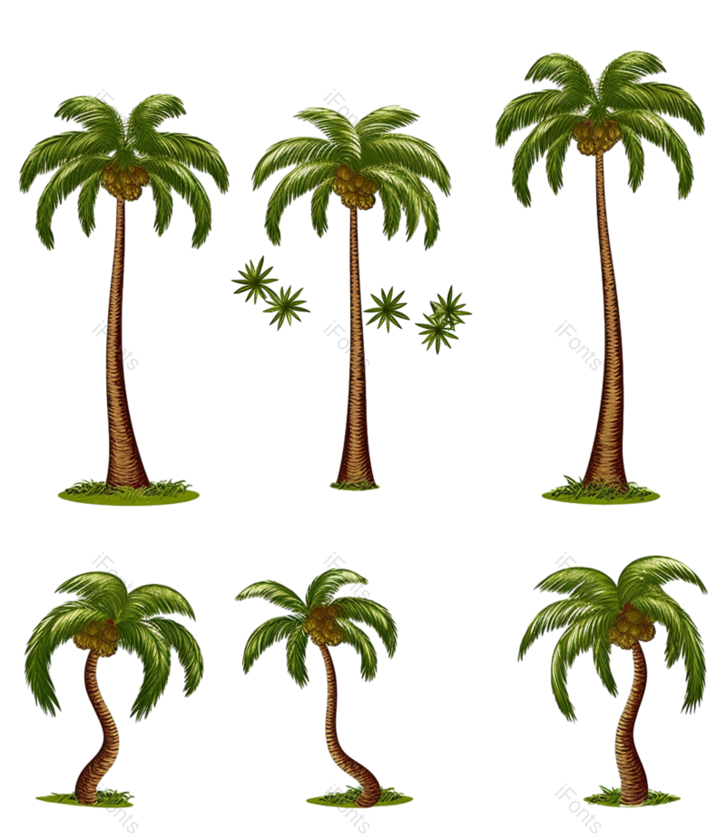 装饰图片,元素元素,卡通PNG,夏天免抠素材